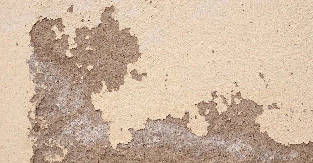 revêtement mural respirant offrant une excellente ventilation et une protection durable pour vos murs.