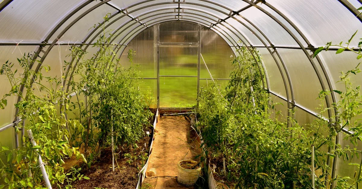découvrez la serre walipini, un système de culture souterrain économique et efficace, idéal pour protéger vos plantes toute l'année tout en optimisant l'énergie solaire.