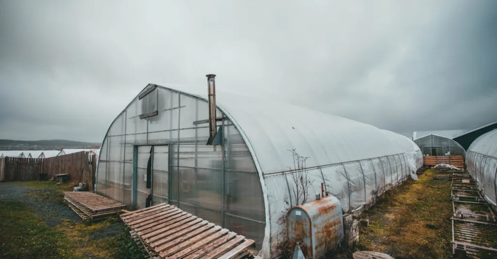 découvrez notre serre walipini, une solution écologique et économique pour cultiver toute l'année grâce à sa conception ingénieuse enterrée qui optimise la température et protège vos plantes.