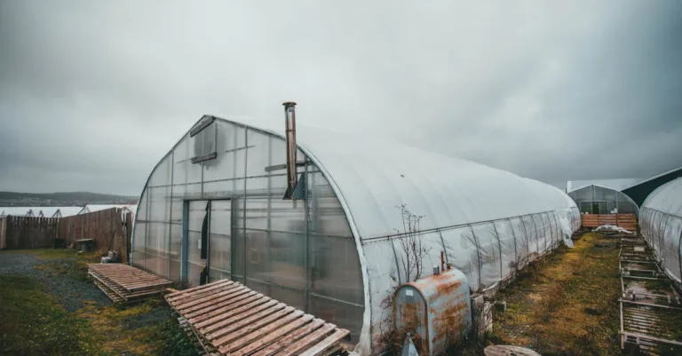 découvrez notre serre walipini, une solution écologique et économique pour cultiver toute l'année grâce à sa conception ingénieuse enterrée qui optimise la température et protège vos plantes.