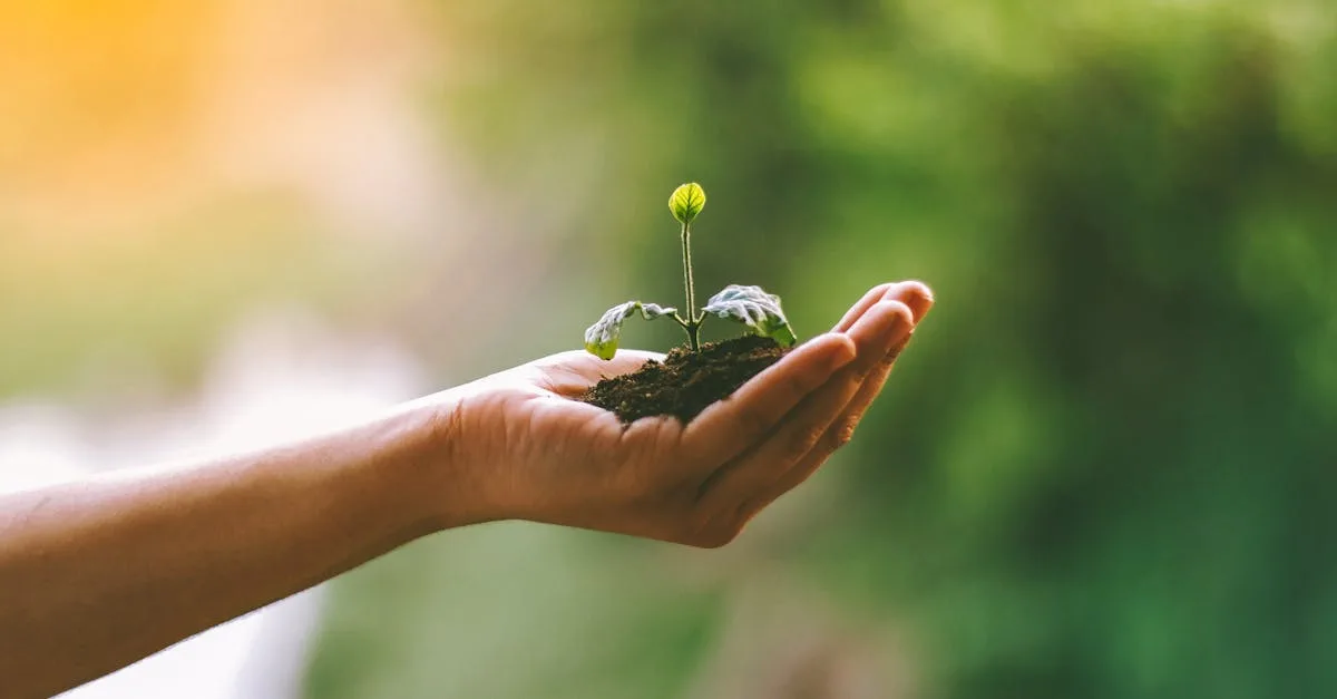 découvrez ce qu'est l'empreinte carbone, son impact sur l'environnement, et comment la réduire pour un mode de vie plus durable.