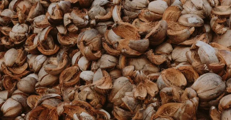 découvrez notre sélection de matériaux naturels, alliant qualité, durabilité et respect de l'environnement pour vos projets écoresponsables.